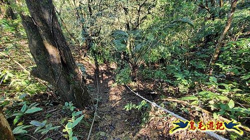 平溪子山嚴家古厝白鶯石古道P形 (51).jpg