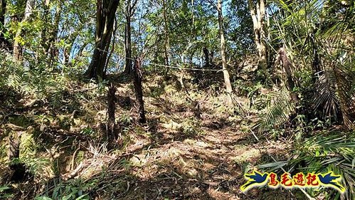平溪子山嚴家古厝白鶯石古道P形 (49).jpg