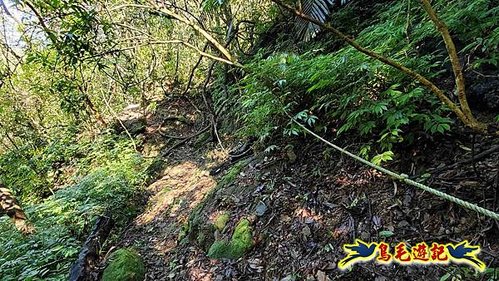 平溪子山嚴家古厝白鶯石古道P形 (52).jpg