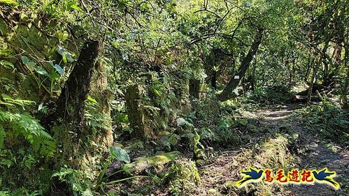 平溪子山嚴家古厝白鶯石古道P形 (56).jpg