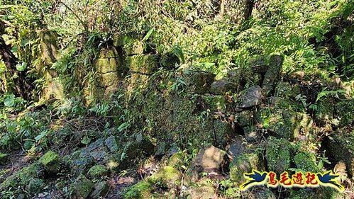 平溪子山嚴家古厝白鶯石古道P形 (54).jpg
