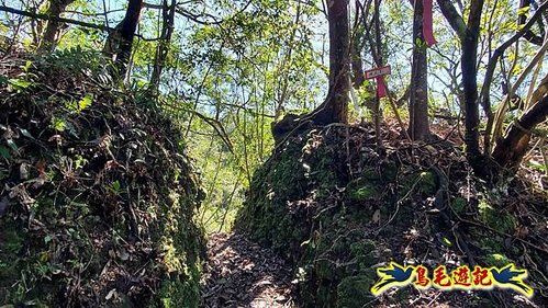 平溪子山嚴家古厝白鶯石古道P形 (60).jpg