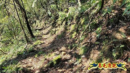平溪子山嚴家古厝白鶯石古道P形 (57).jpg