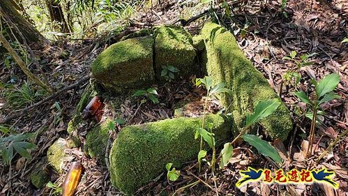 平溪子山嚴家古厝白鶯石古道P形 (59).jpg