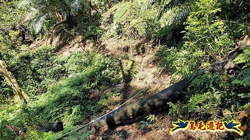 平溪子山嚴家古厝白鶯石古道P形 (64).jpg