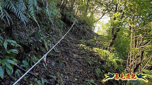平溪子山嚴家古厝白鶯石古道P形 (67).jpg