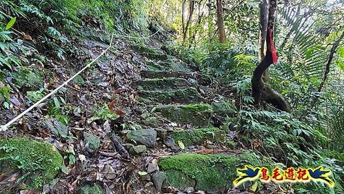 平溪子山嚴家古厝白鶯石古道P形 (69).jpg