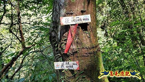 平溪子山嚴家古厝白鶯石古道P形 (70).jpg