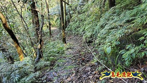 平溪子山嚴家古厝白鶯石古道P形 (68).jpg