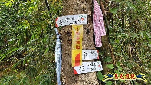龜山車站-梗枋山-觀日步道-橋板湖山-北關農場保線路P形 (8).jpg