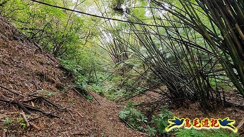 龜山車站-梗枋山-觀日步道-橋板湖山-北關農場保線路P形 (11).jpg