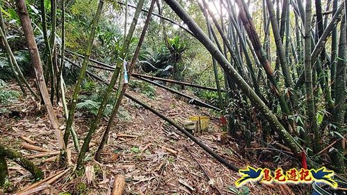 龜山車站-梗枋山-觀日步道-橋板湖山-北關農場保線路P形 (10).jpg