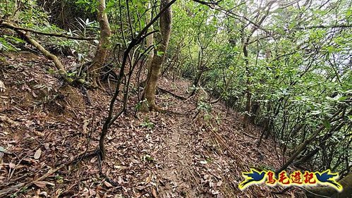 龜山車站-梗枋山-觀日步道-橋板湖山-北關農場保線路P形 (13).jpg