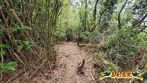 龜山車站-梗枋山-觀日步道-橋板湖山-北關農場保線路P形 (18).jpg