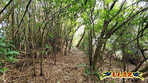 龜山車站-梗枋山-觀日步道-橋板湖山-北關農場保線路P形 (15).jpg