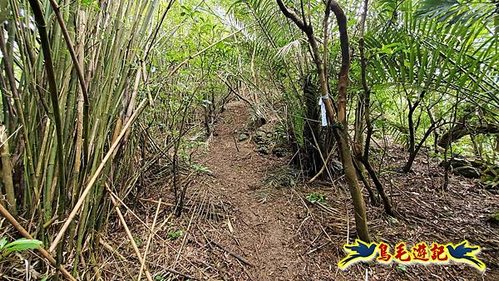 龜山車站-梗枋山-觀日步道-橋板湖山-北關農場保線路P形 (19).jpg