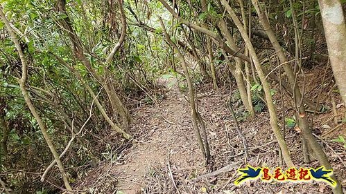 龜山車站-梗枋山-觀日步道-橋板湖山-北關農場保線路P形 (21).jpg