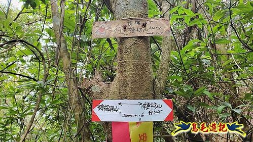 龜山車站-梗枋山-觀日步道-橋板湖山-北關農場保線路P形 (22).jpg