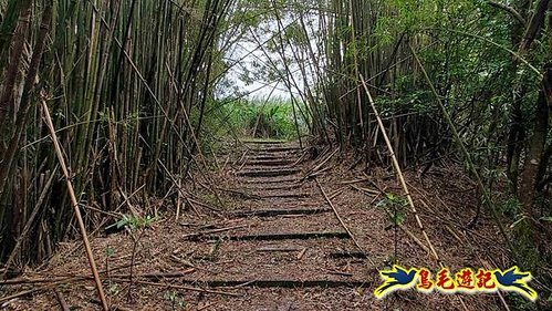 龜山車站-梗枋山-觀日步道-橋板湖山-北關農場保線路P形 (24).jpg