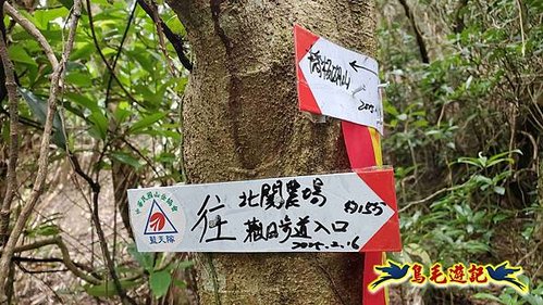 龜山車站-梗枋山-觀日步道-橋板湖山-北關農場保線路P形 (23).jpg