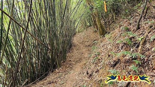 龜山車站-梗枋山-觀日步道-橋板湖山-北關農場保線路P形 (29).jpg
