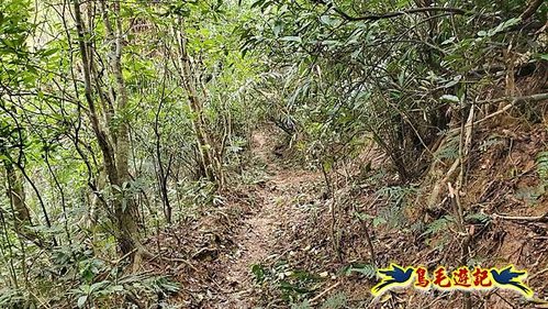 龜山車站-梗枋山-觀日步道-橋板湖山-北關農場保線路P形 (31).jpg