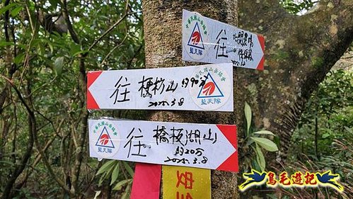 龜山車站-梗枋山-觀日步道-橋板湖山-北關農場保線路P形 (33).jpg