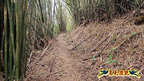 龜山車站-梗枋山-觀日步道-橋板湖山-北關農場保線路P形 (32).jpg