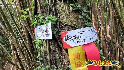 龜山車站-梗枋山-觀日步道-橋板湖山-北關農場保線路P形 (35).jpg