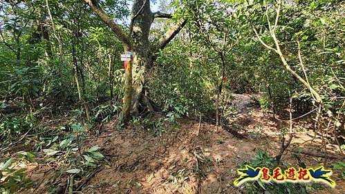 龜山車站-梗枋山-觀日步道-橋板湖山-北關農場保線路P形 (38).jpg