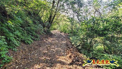 龜山車站-梗枋山-觀日步道-橋板湖山-北關農場保線路P形 (39).jpg