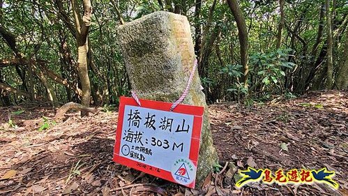 龜山車站-梗枋山-觀日步道-橋板湖山-北關農場保線路P形 (37).jpg