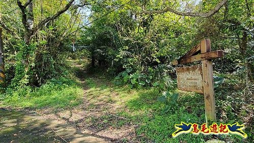 龜山車站-梗枋山-觀日步道-橋板湖山-北關農場保線路P形 (44).jpg