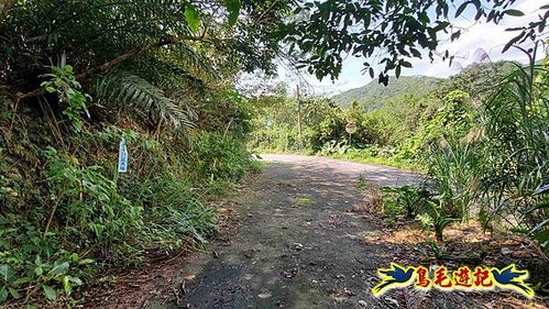 龜山車站-梗枋山-觀日步道-橋板湖山-北關農場保線路P形 (48).jpg
