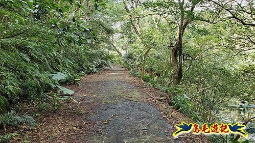 龜山車站-梗枋山-觀日步道-橋板湖山-北關農場保線路P形 (47).jpg