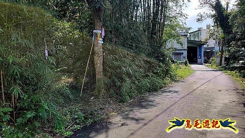 龜山車站-梗枋山-觀日步道-橋板湖山-北關農場保線路P形 (50).jpg