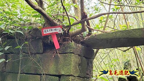 雪山尾稜北段連峰O形 (16).jpg