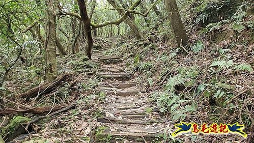 雪山尾稜北段連峰O形 (22).jpg