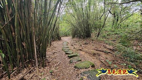 雪山尾稜北段連峰O形 (21).jpg