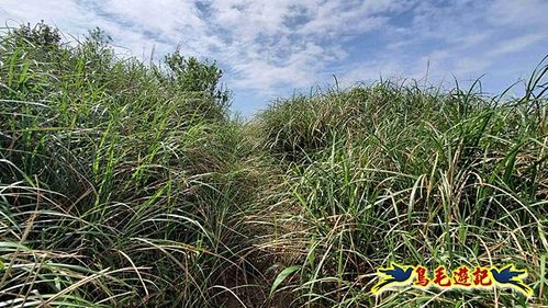 雪山尾稜北段連峰O形 (35).jpg