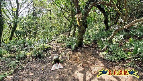 雪山尾稜北段連峰O形 (45).jpg