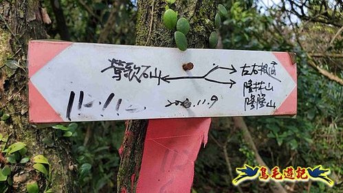 雪山尾稜北段連峰O形 (48).jpg