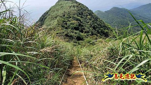 雪山尾稜北段連峰O形 (47).jpg