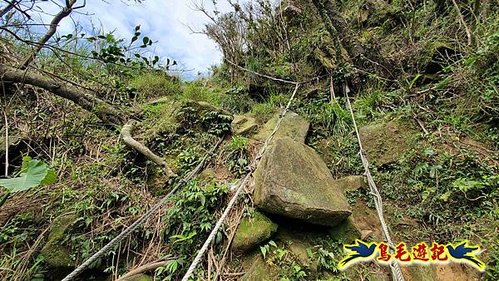 雪山尾稜北段連峰O形 (53).jpg