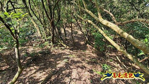 雪山尾稜北段連峰O形 (57).jpg
