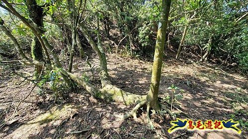 雪山尾稜北段連峰O形 (62).jpg