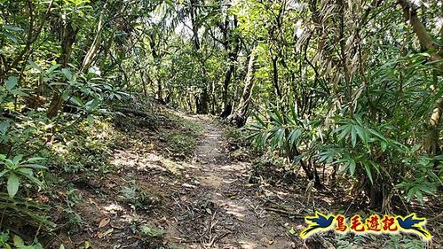 雪山尾稜北段連峰O形 (67).jpg