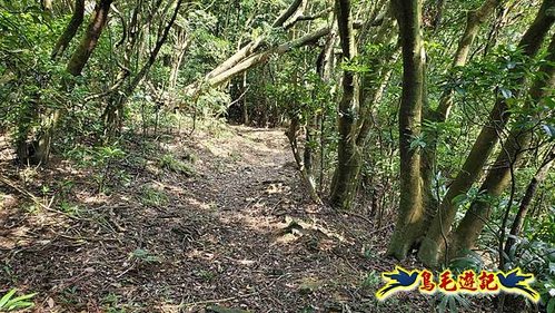 雪山尾稜北段連峰O形 (75).jpg