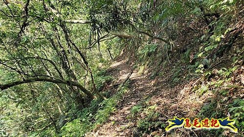 雪山尾稜北段連峰O形 (77).jpg