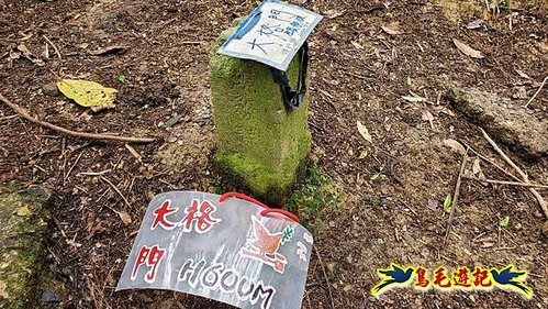 大格門獵狸尖旗子腳山溪邊寮縱走 (5).jpg